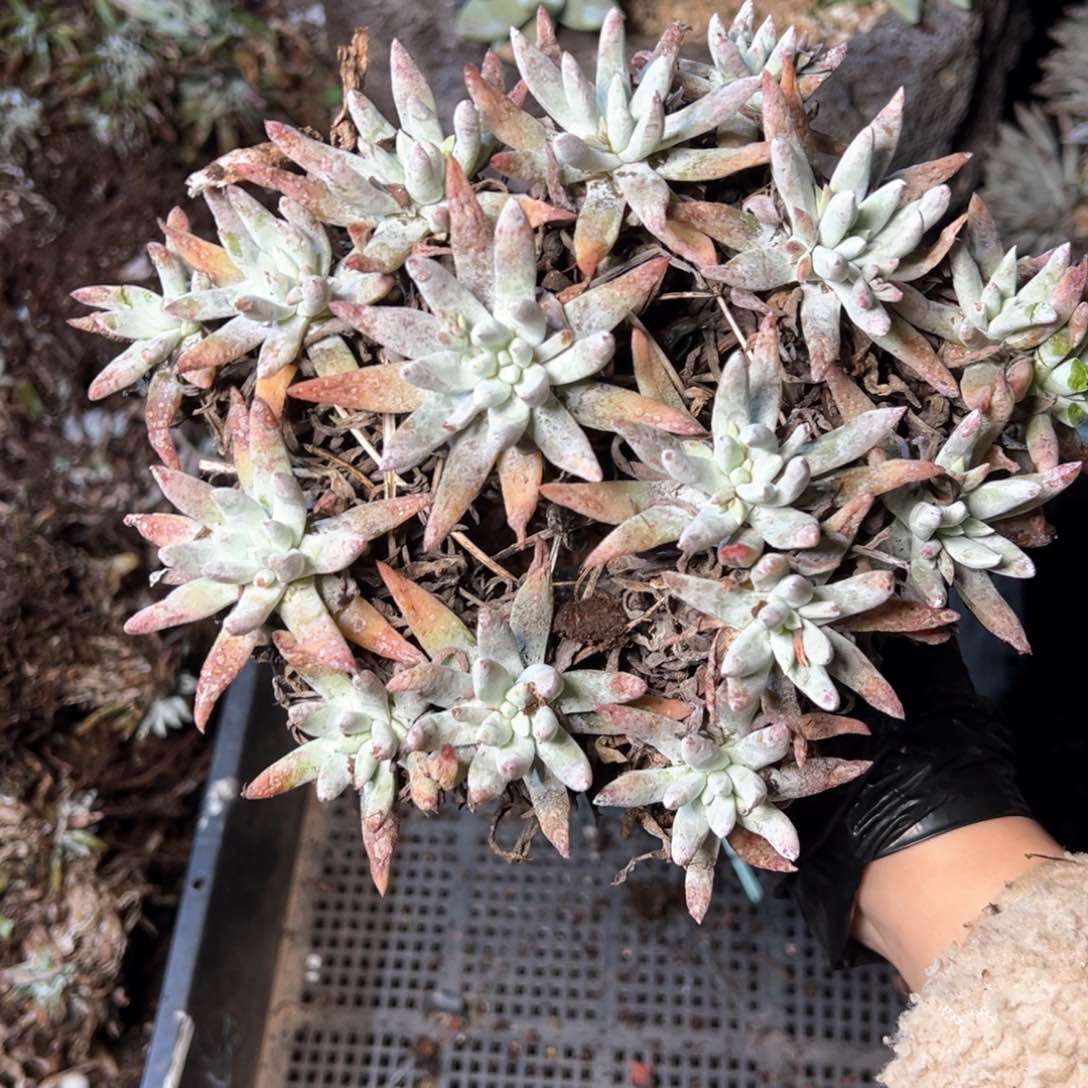 5405哈哈哈哈哈哈哈哈