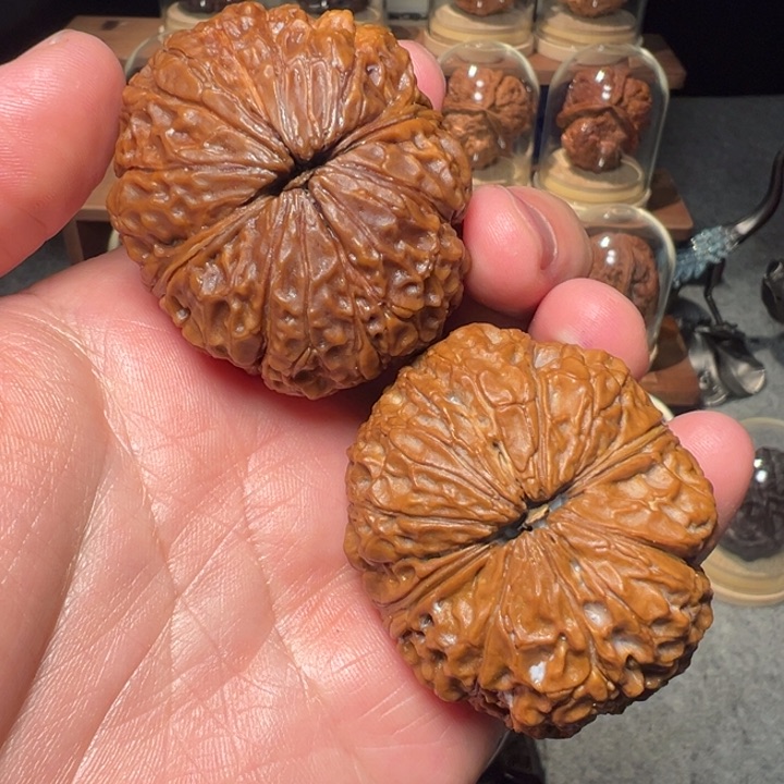 文玩核桃把件中国大狮子47mm