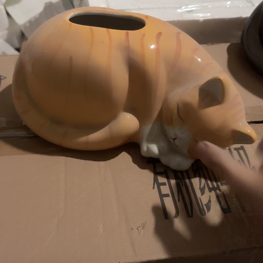 陶微瑕一个黄猫纸巾盒