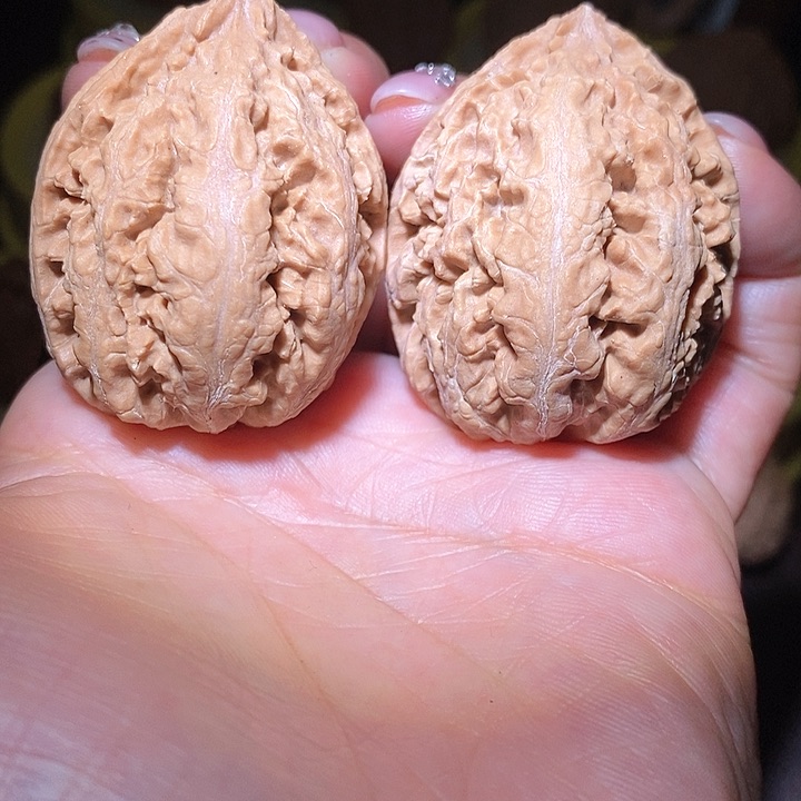 文玩核桃把件东北野生楸子小美5 1