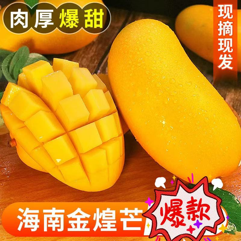 MMS【催熟食用】海南金煌芒带箱5斤/10斤装新鲜应季香甜多汁核薄