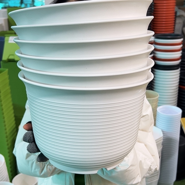 正品矮陶口27高18白色6个无托