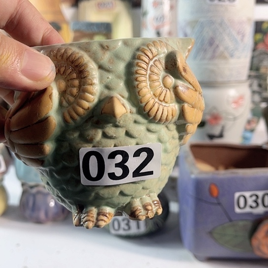 红陶多肉植物花盆