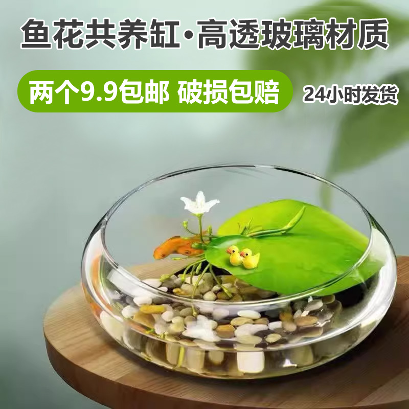 碗莲专用盆玻璃鱼缸家用小型睡莲盆荷花透明花盆花瓶水培植物器皿