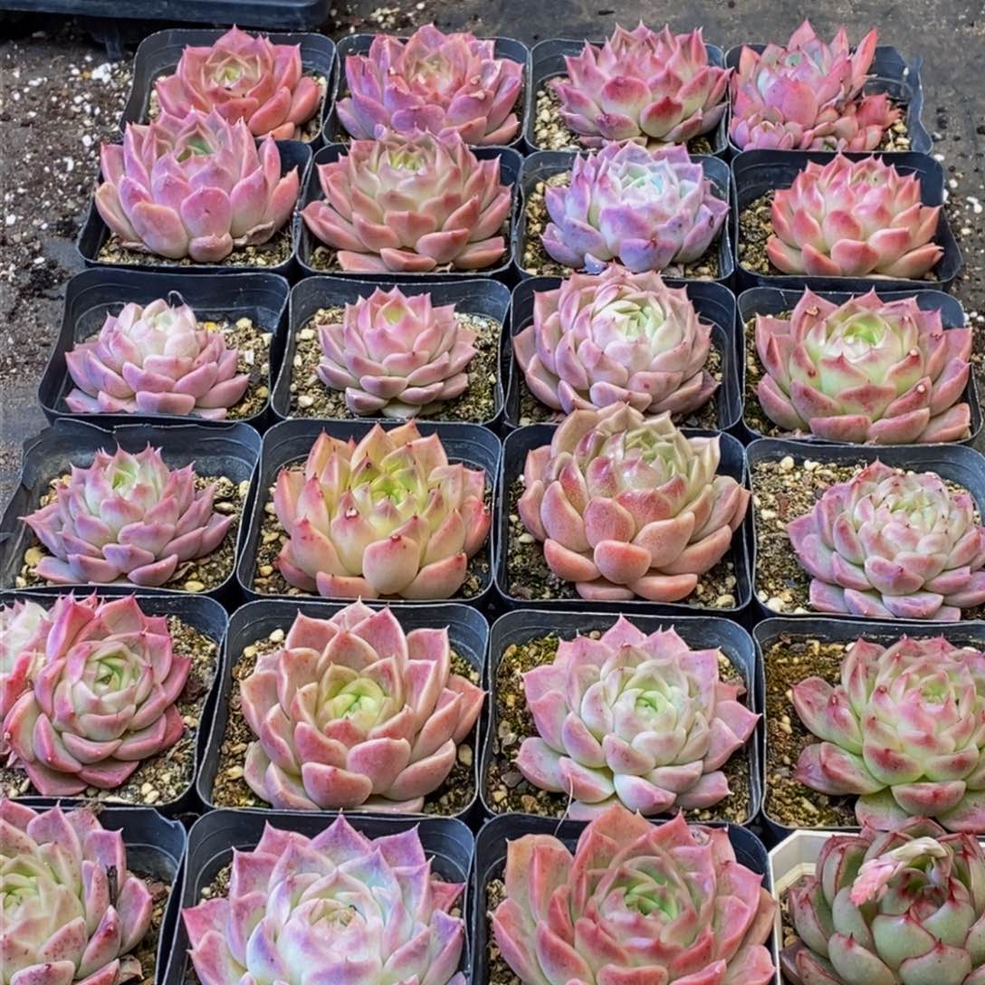 163多人在一起的时候就