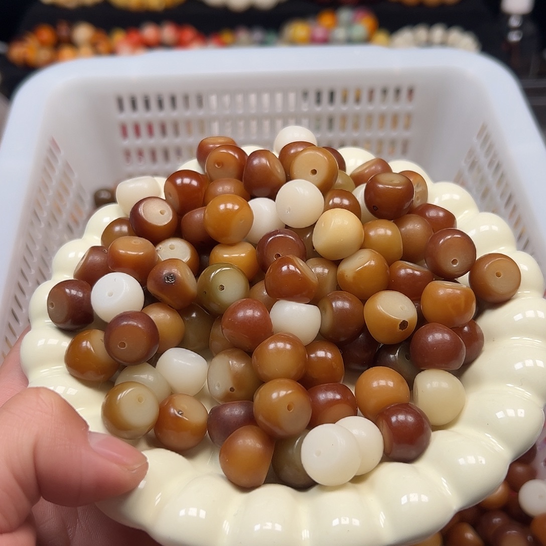 菩提根/象牙果手串60颗非料瑕有裂算盘混15尺寸