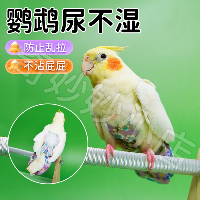 【宠大条】鹦鹉衣服烫金后背公主风薄款屎兜宠物鸟衣服可调节外出服