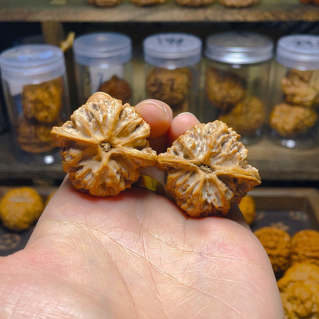 38尺全品苹果圆精对