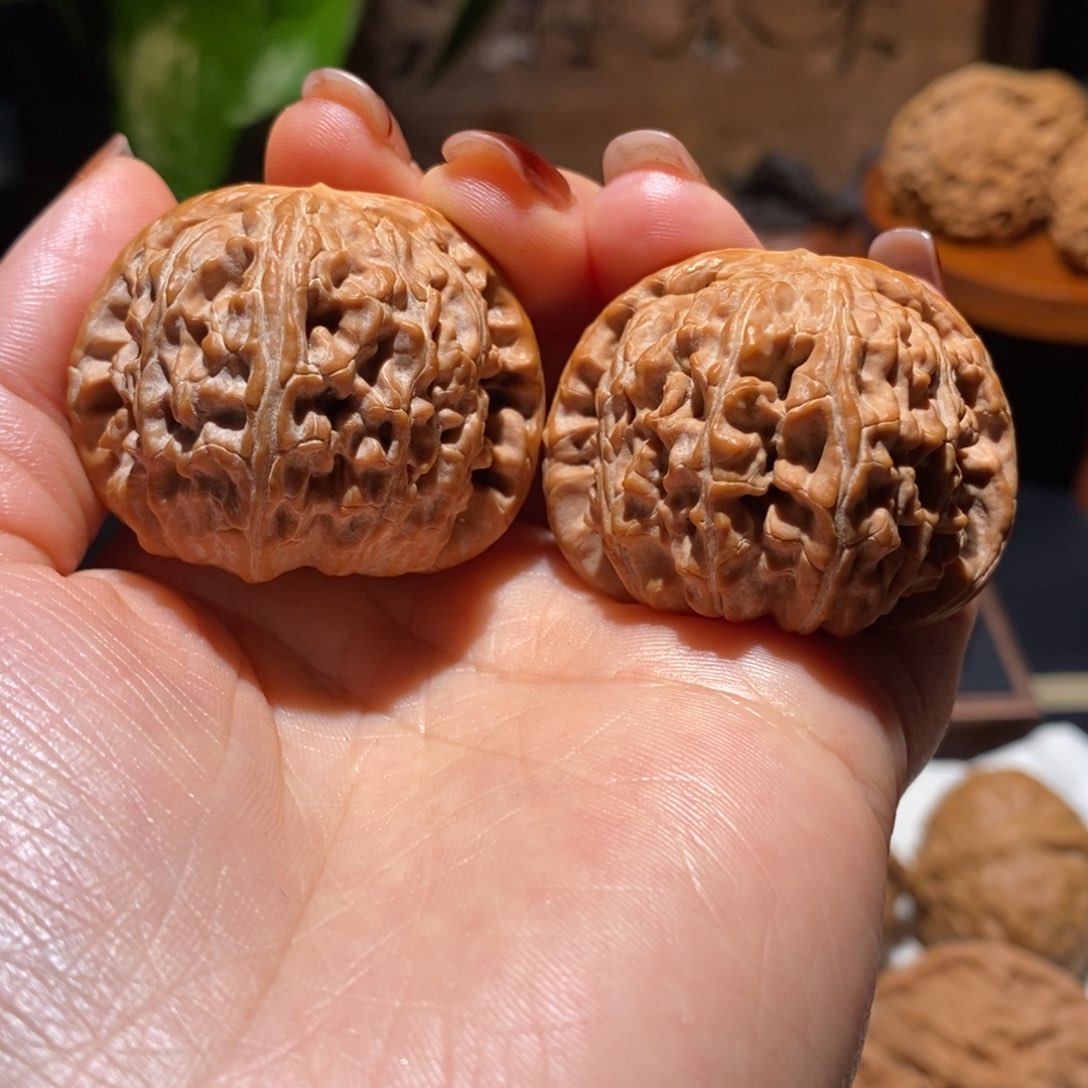 文玩核桃把件白狮子40