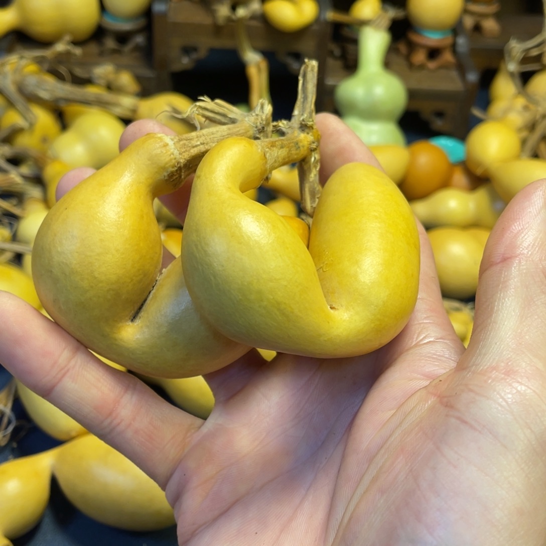 火***燚大叶紫檀（黑酸枝木类）