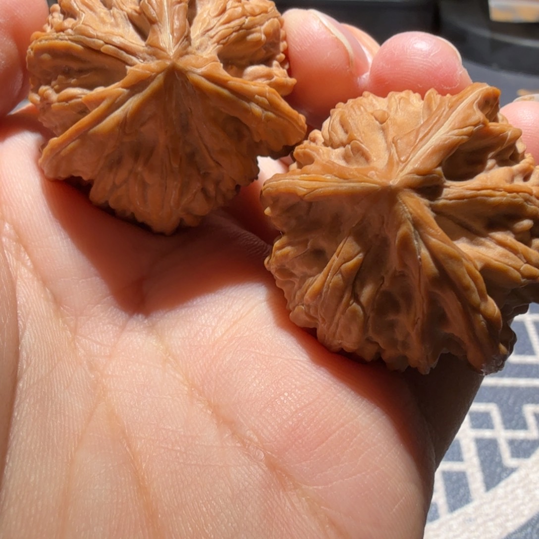 菲***酱文玩核桃把件御龙