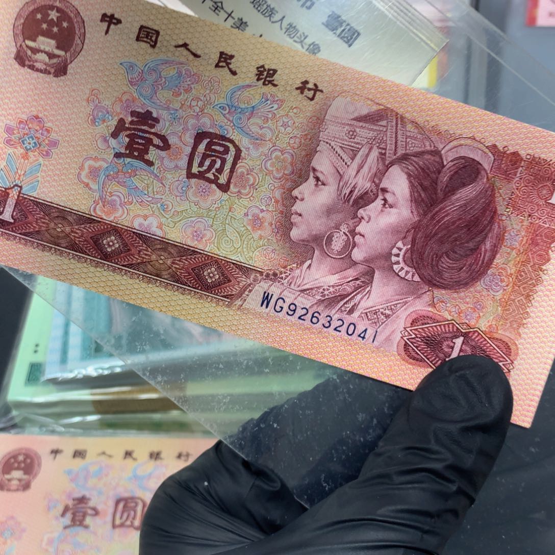 801红金龙标十 WG41