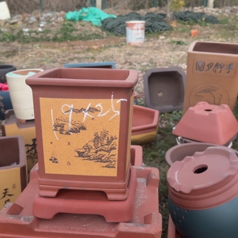 红陶紫砂花盆盆景盆栽