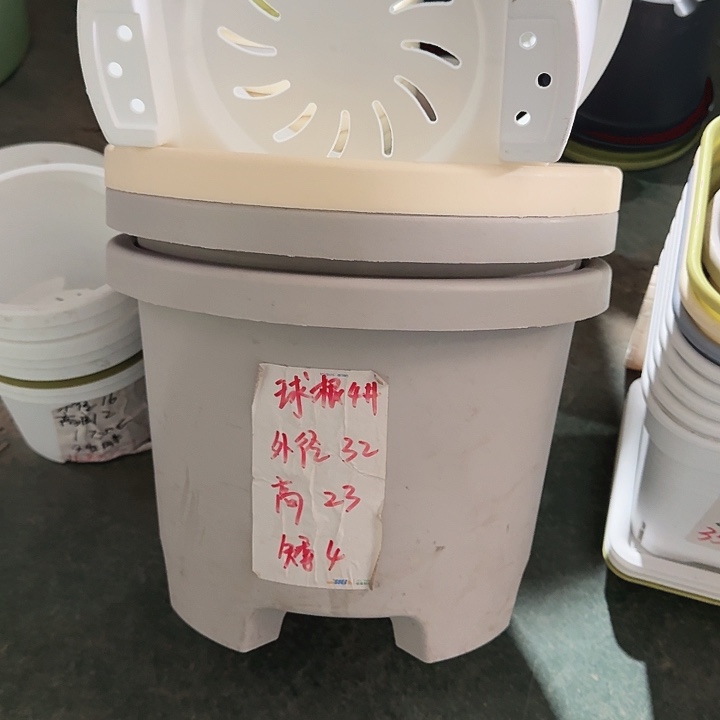 球根4#口径32高23无托灰白5个