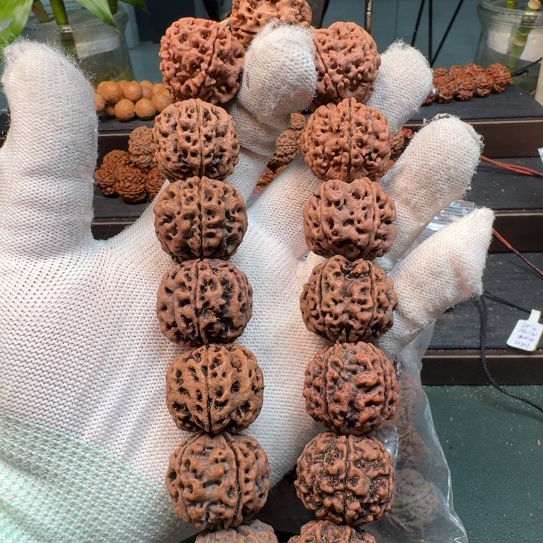 金刚菩提手串24五瓣多宝（不同树不同色）