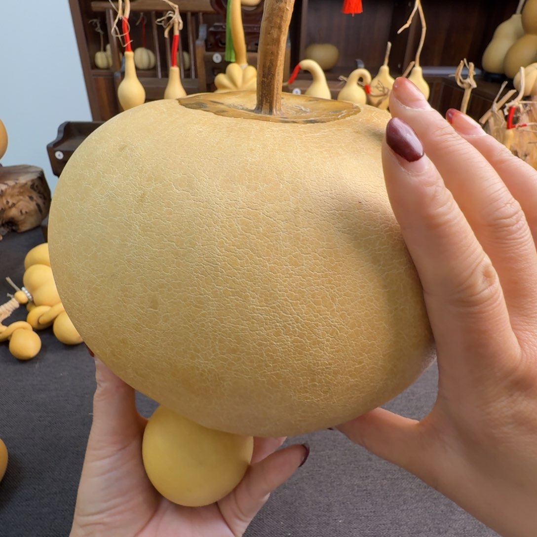 小**仔发发发发发发发发发