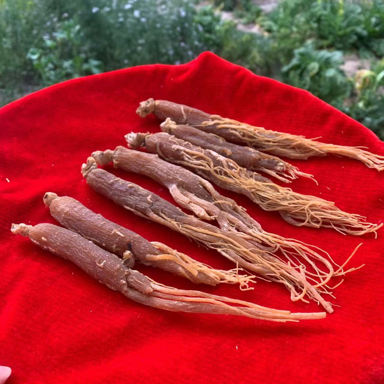 1【百-年-红-参】净含量；100g-1000g【小英现收】