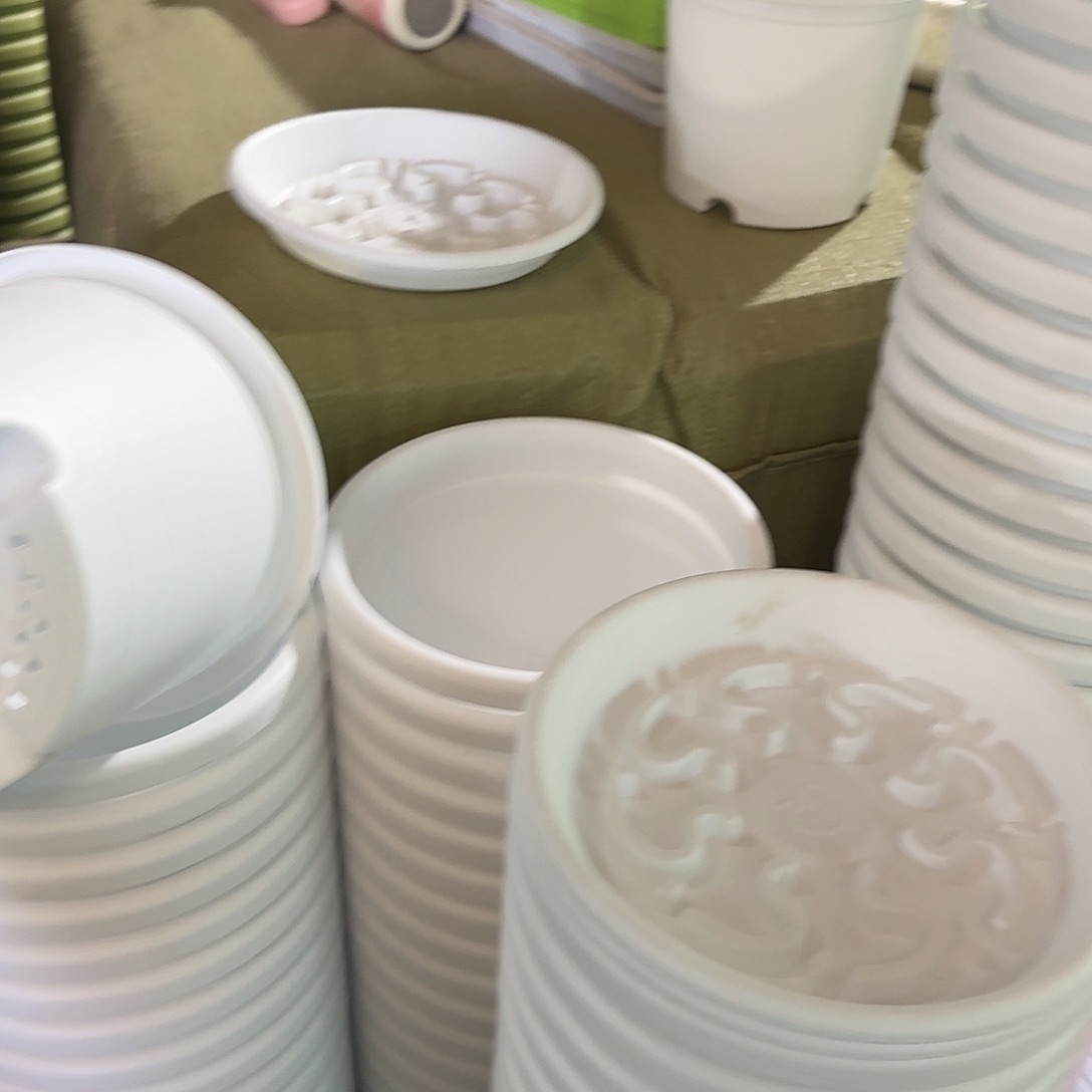 树脂四季3号无托10个白色