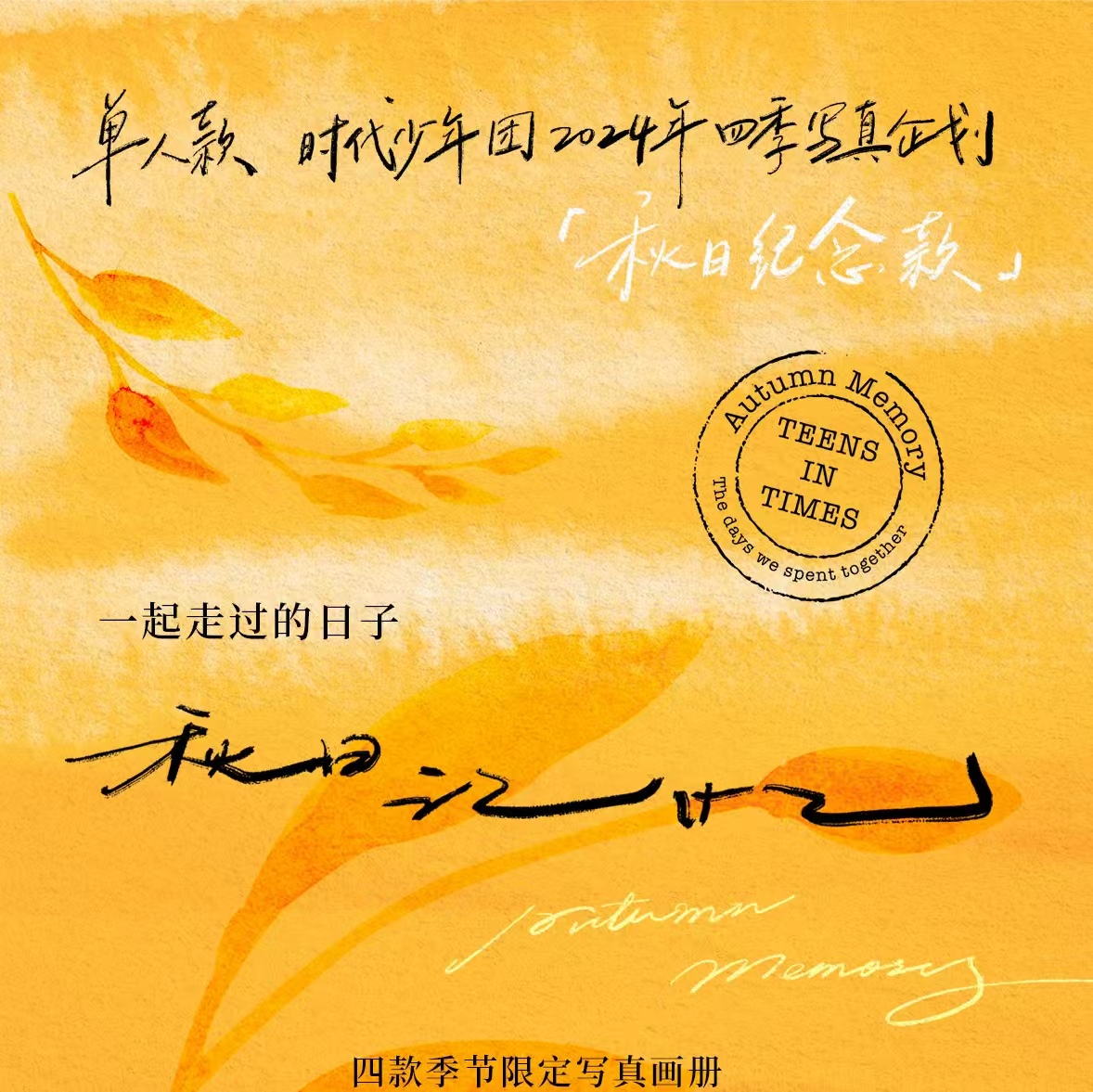 TNT时代少年团四季一起走过的日子秋日记忆官方周边未拆未小卡绑