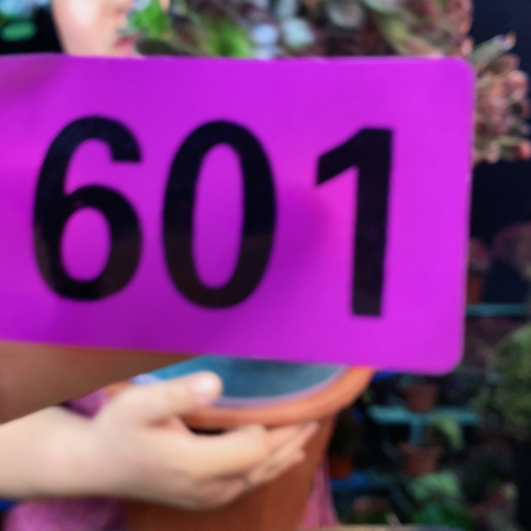 ssssssssssssssssssss601