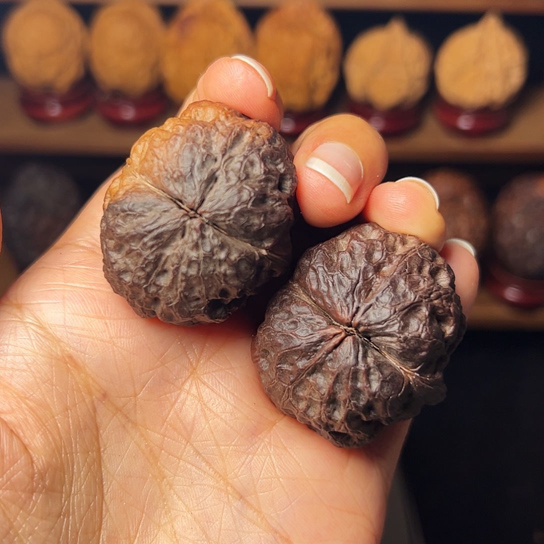 甘****                   毒王