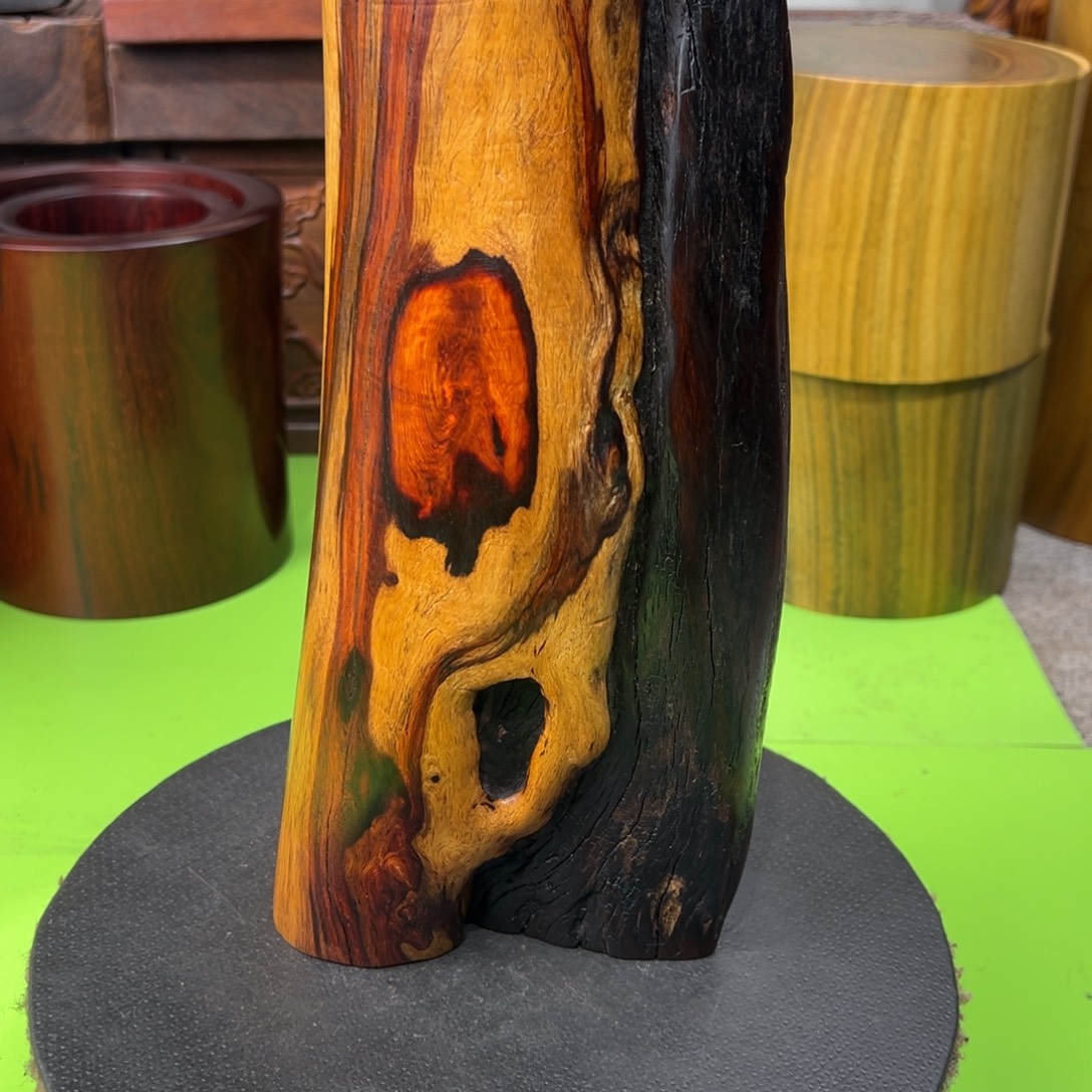 无***为大果紫檀（缅甸花梨）