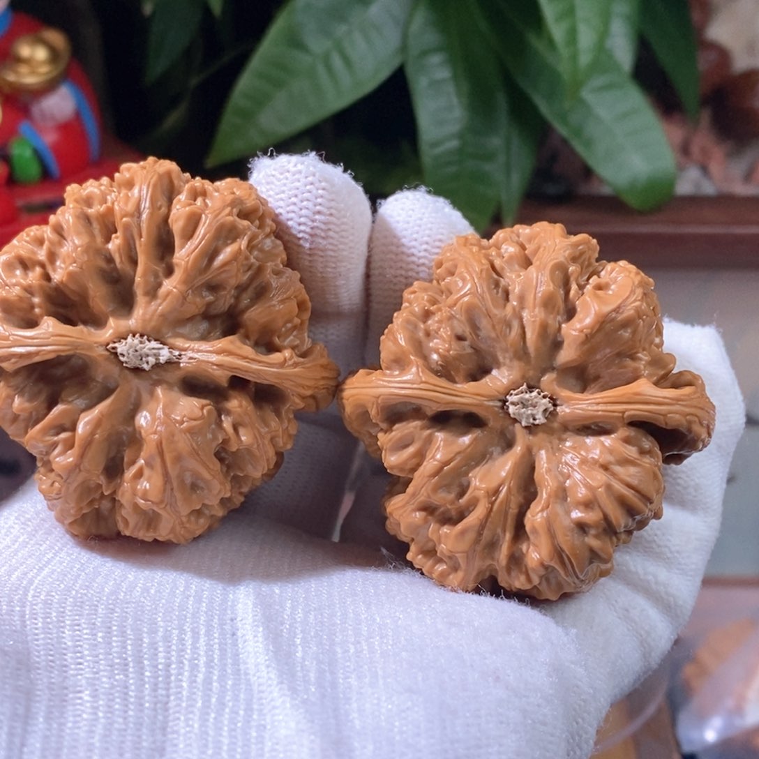 文玩核桃吊坠?****粗筋