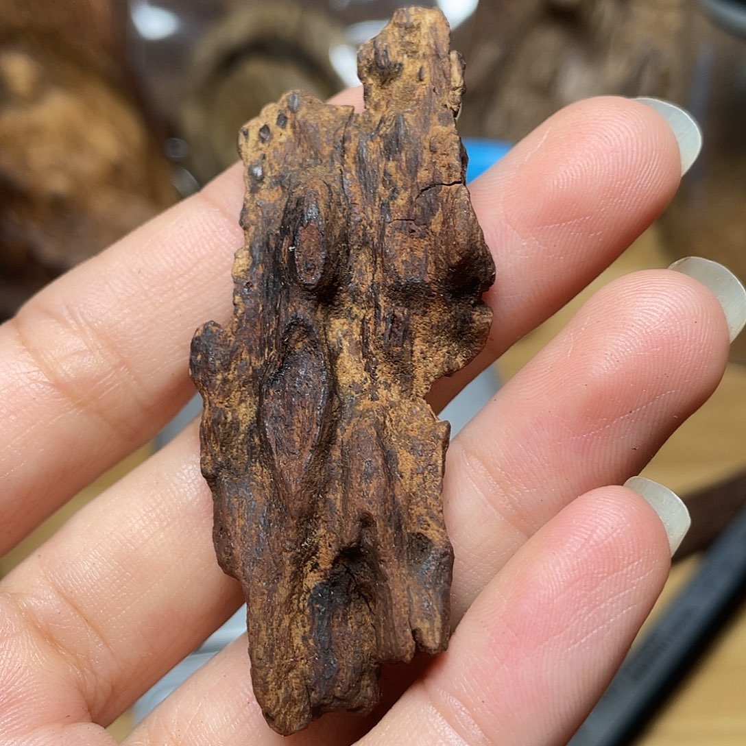朢***海沉香富森红土吊坠3.7克