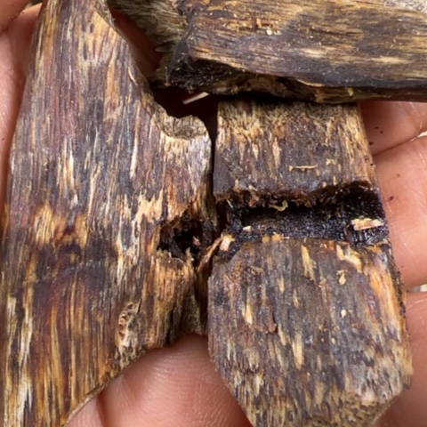 沉香碎屑沉香白露呕油块料30g