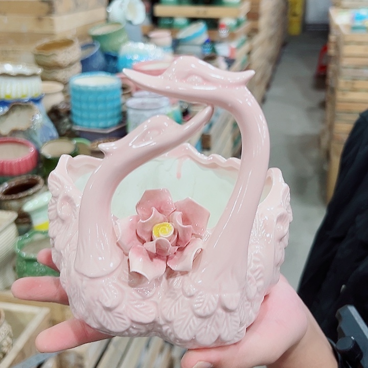 花盆有孔！订单凑满10米包由！