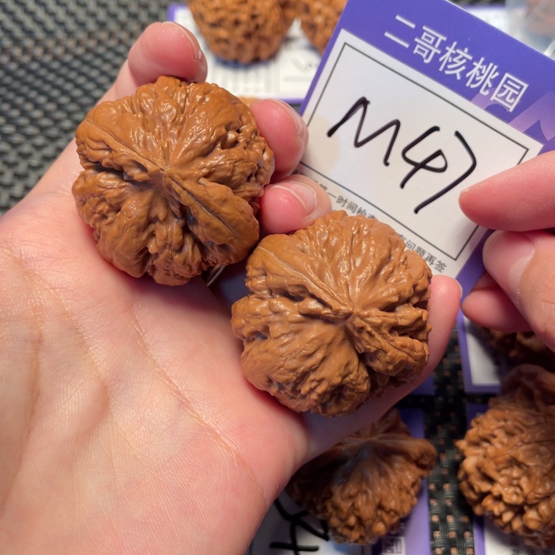 把件文玩核桃M47号霸王龙41