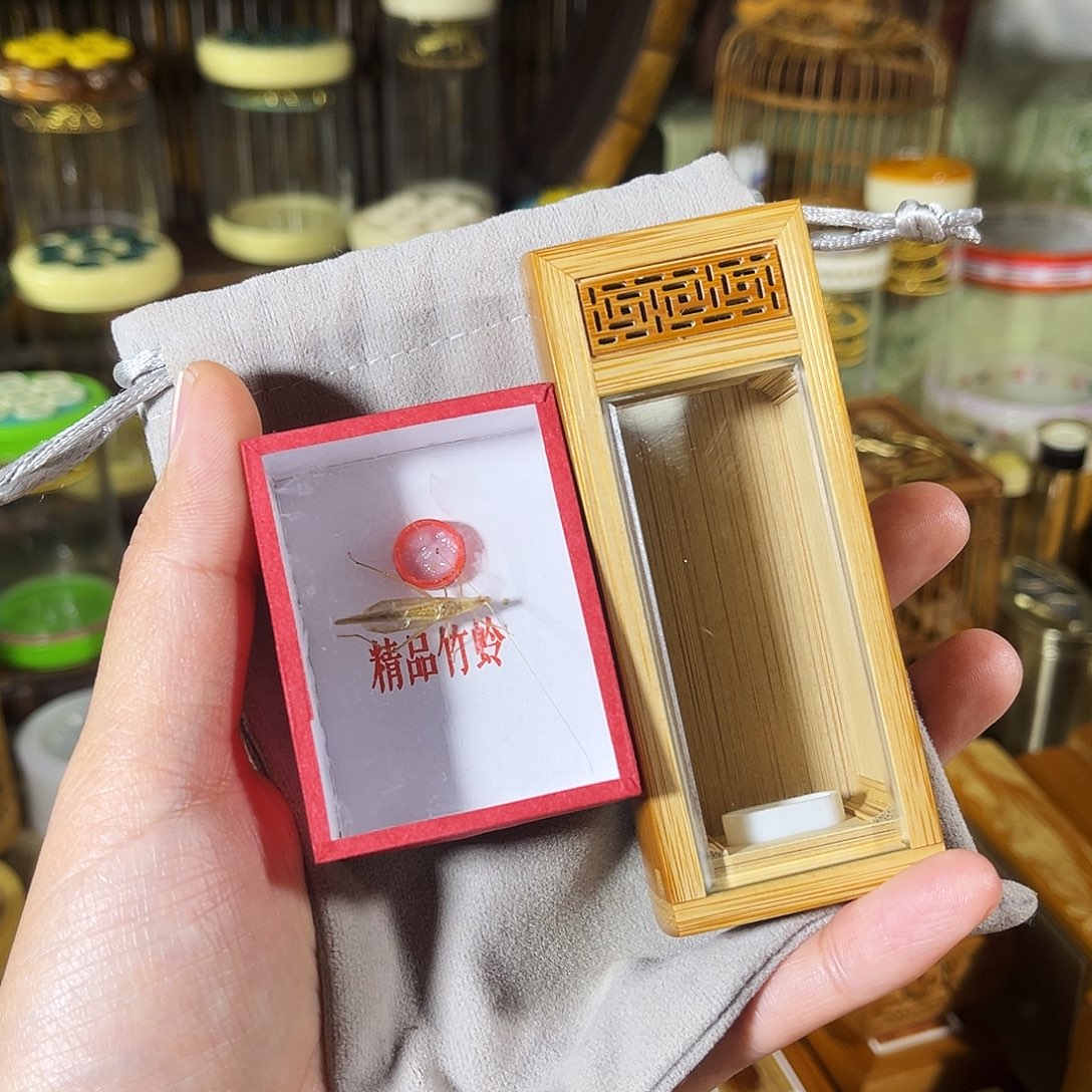 蟋蟀老竹竹蛉盒+竹蛉+布套