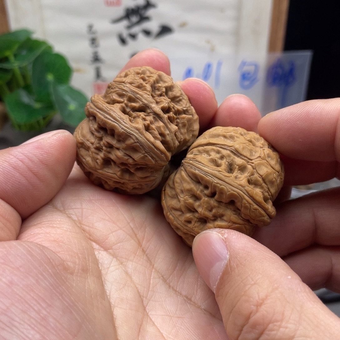 吊坠文玩核桃海豚头元宝