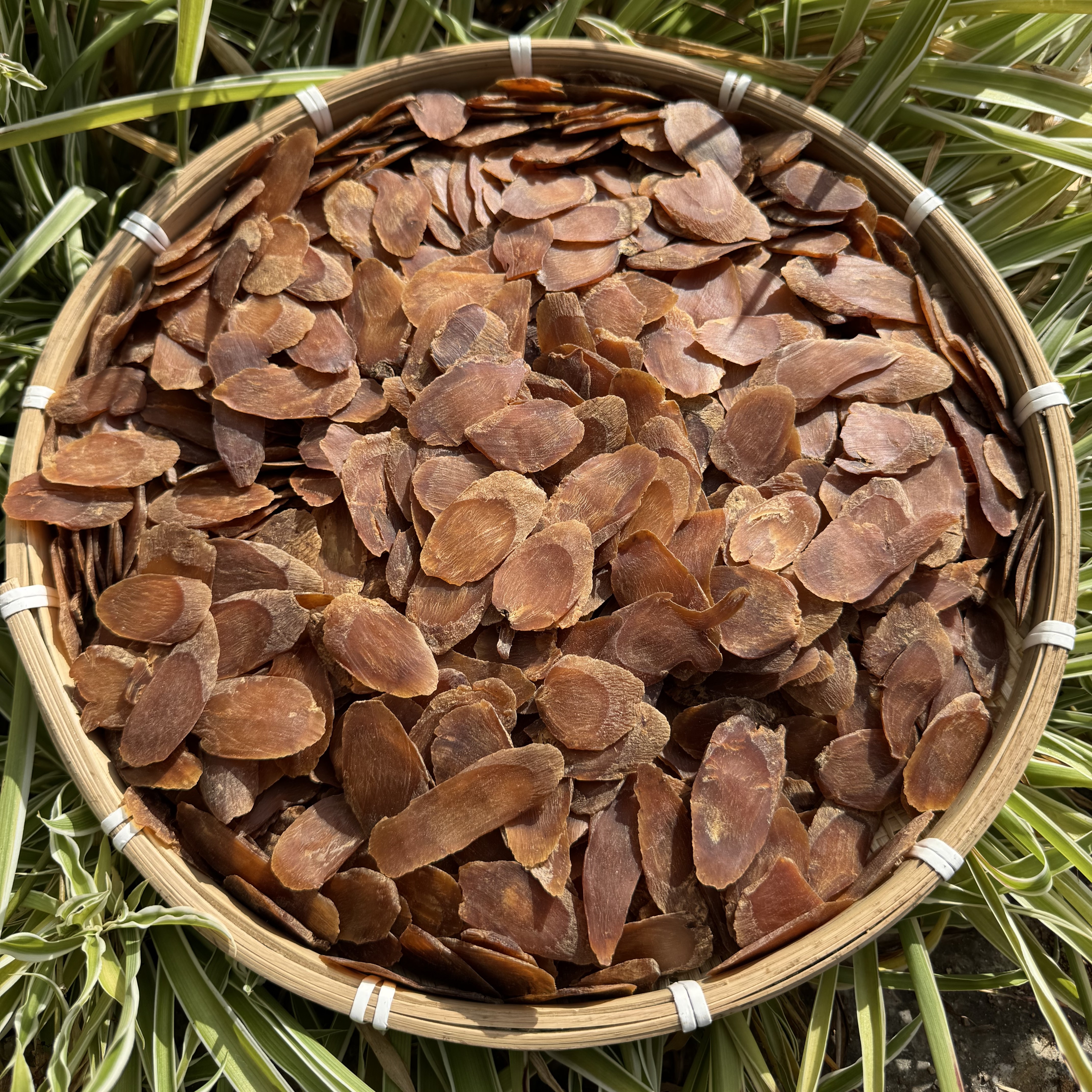 优质红参   小圆圈甄选滋补山货