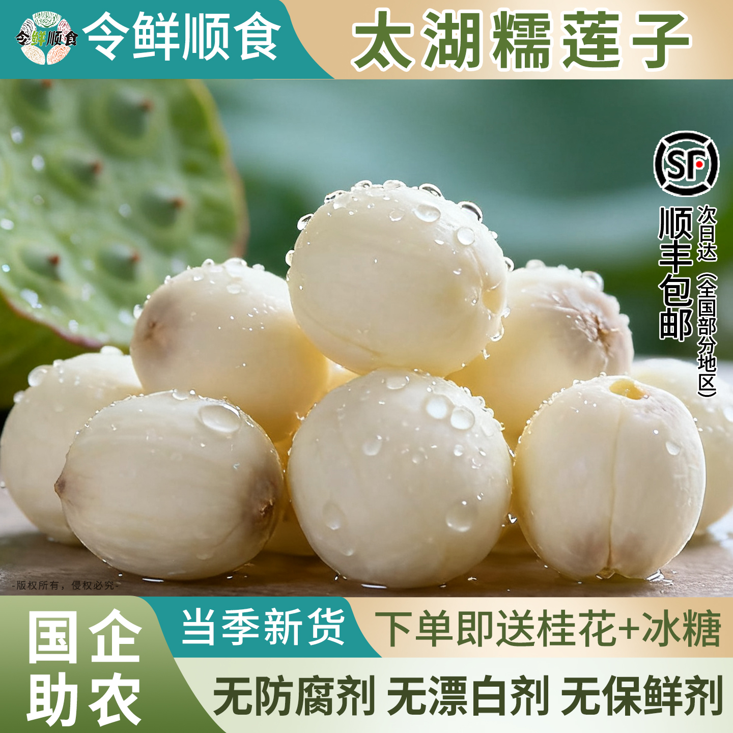 苏州太湖糯莲子取芯精选新货营养健康 煮粥炖汤太湖莲子