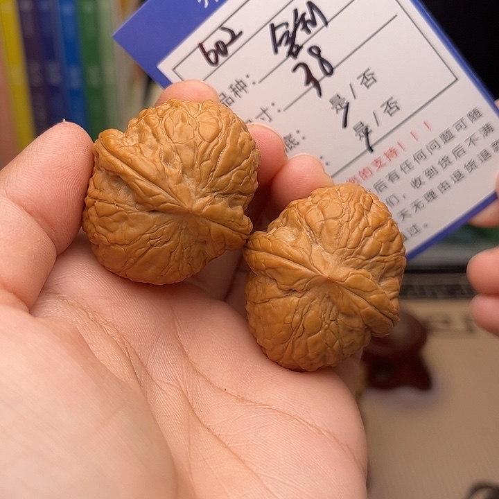 文玩核桃手捻核桃602