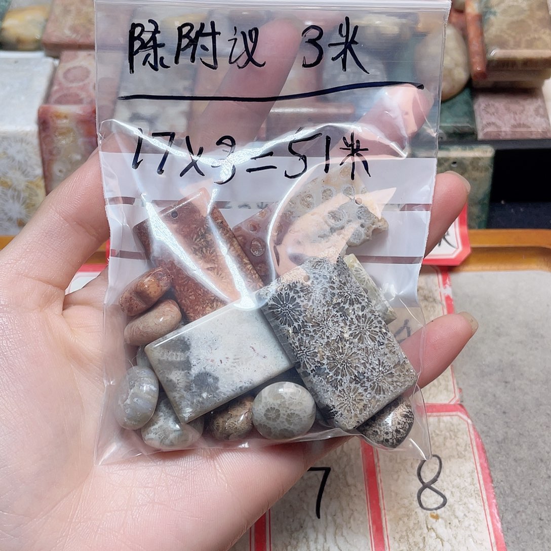 陈***议硅化珊瑚（珊瑚玉）合金颈饰