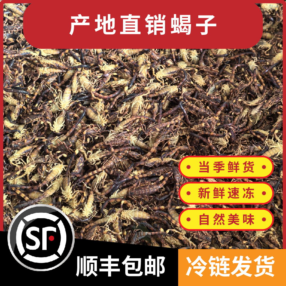 特级清水蝎子全蝎油炸酥脆