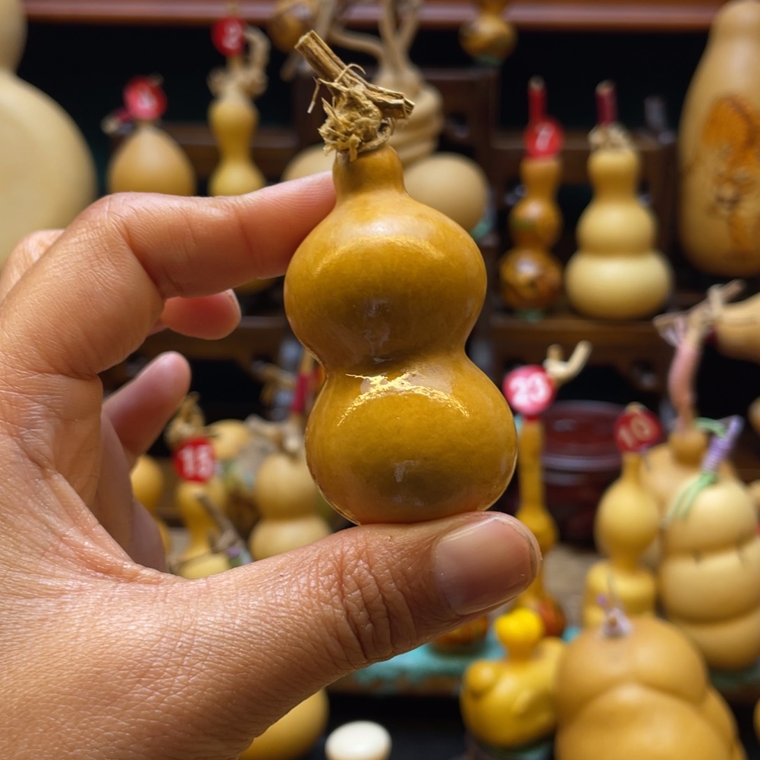 大****米葫芦等经济林木的生长发育规律及