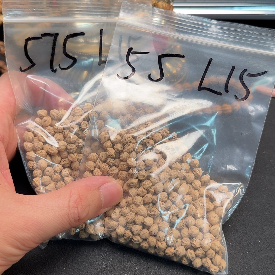 柏香籽/百香籽吊坠