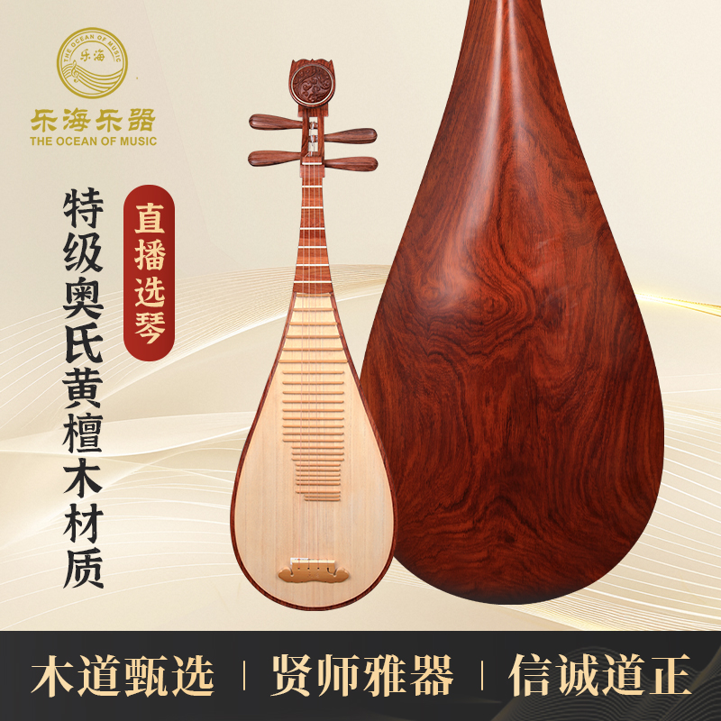 乐海琵琶乐器 老料奥氏黄檀木原木抛光专业演奏级手工琵琶DJ14-AA