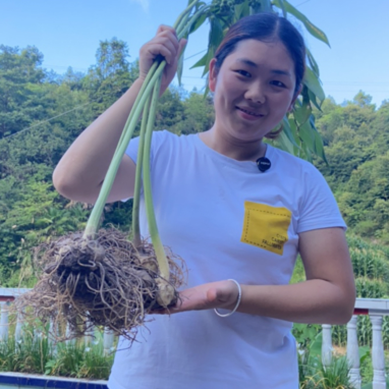 ［邹家囡囡代卖］龙潭新鲜黄