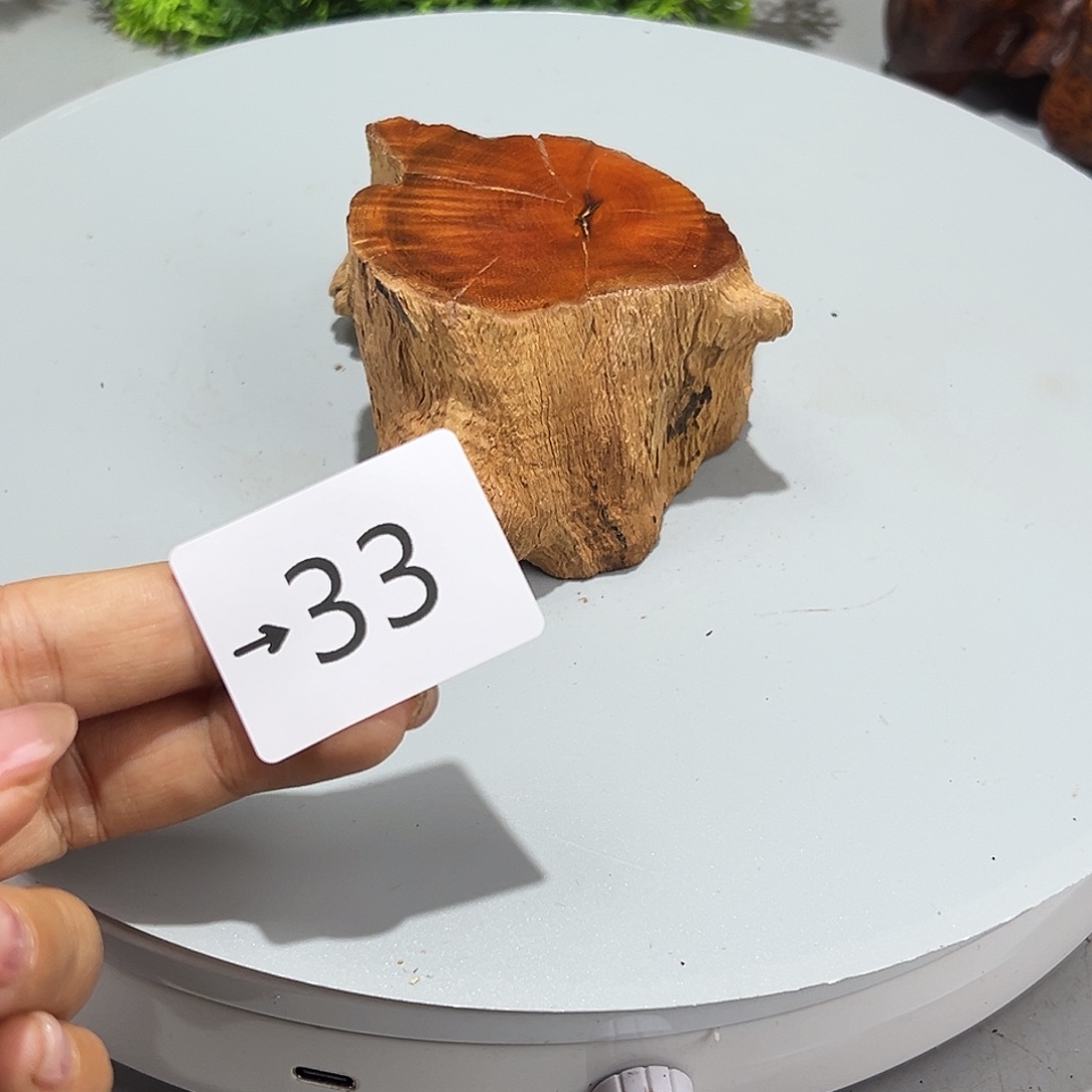 香榧木屹*火琉璃……火琉璃