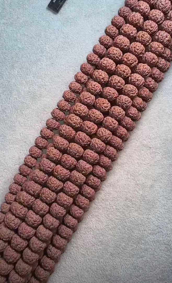 甄选级【经典勿里达纯血老树王108】毕业小金刚菩提单根单串