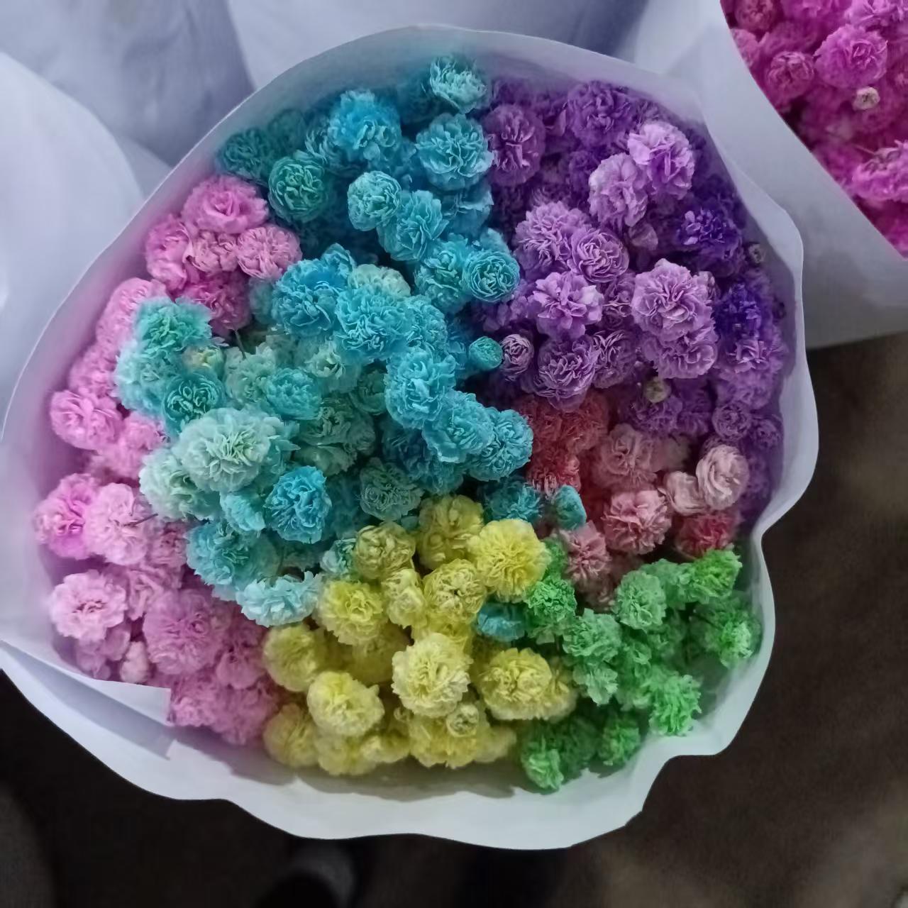 【混搭满天星】混搭满天星鲜切花水养