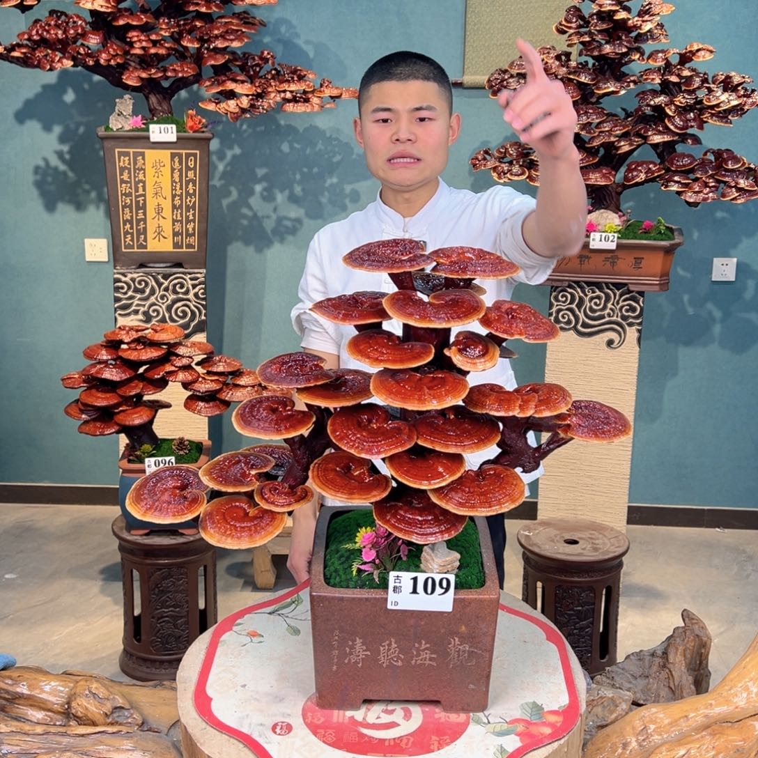 伟***健无花朵88888888880