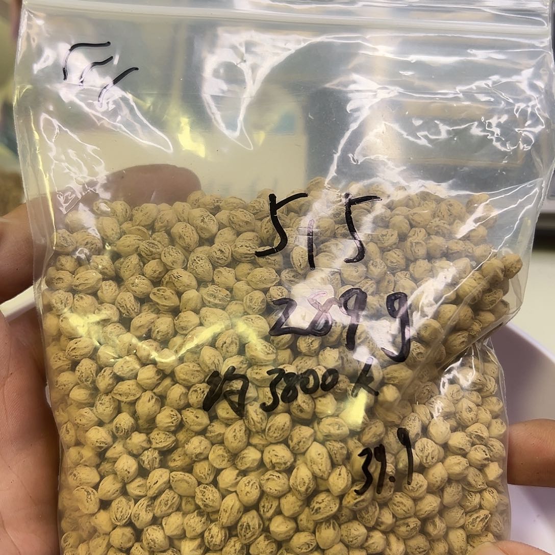 *****吊坠柏香籽/百香籽
