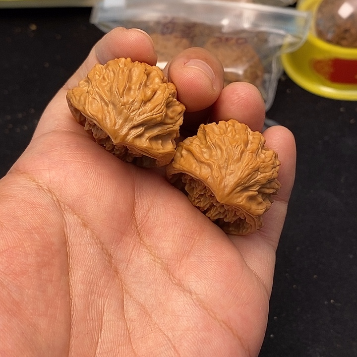 吊坠龙脊菩提公子帽蛇头