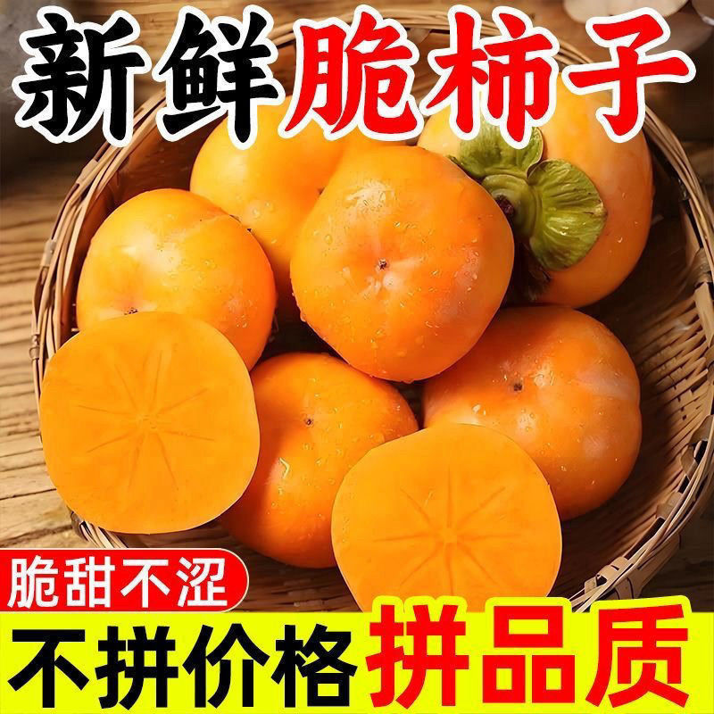 山西本地新鲜当季巧克力脆甜柿子产地直发脆甜多汁应季水果