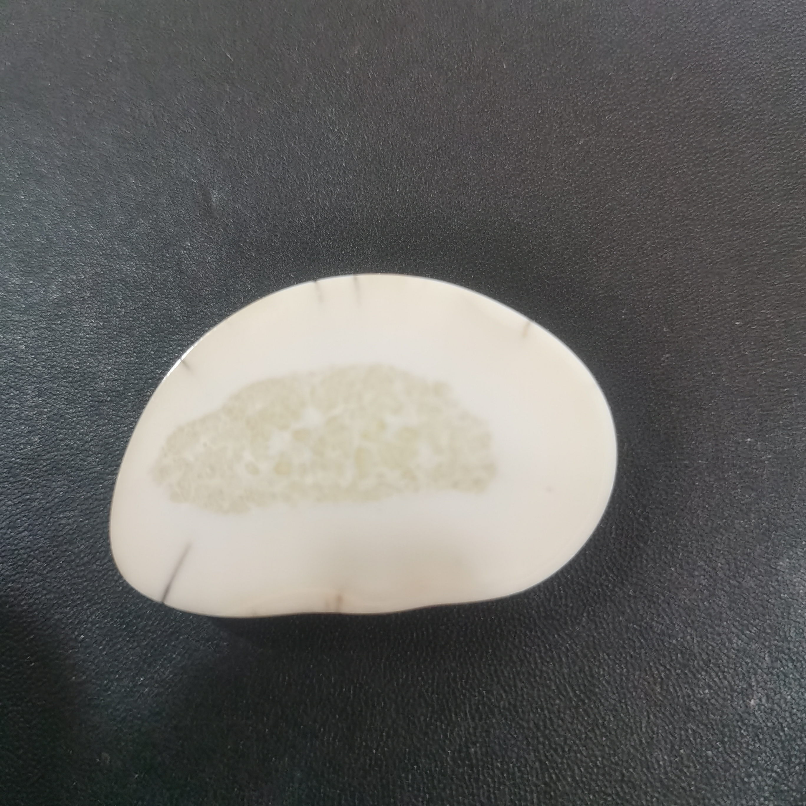 猛犸虬饼子kk760